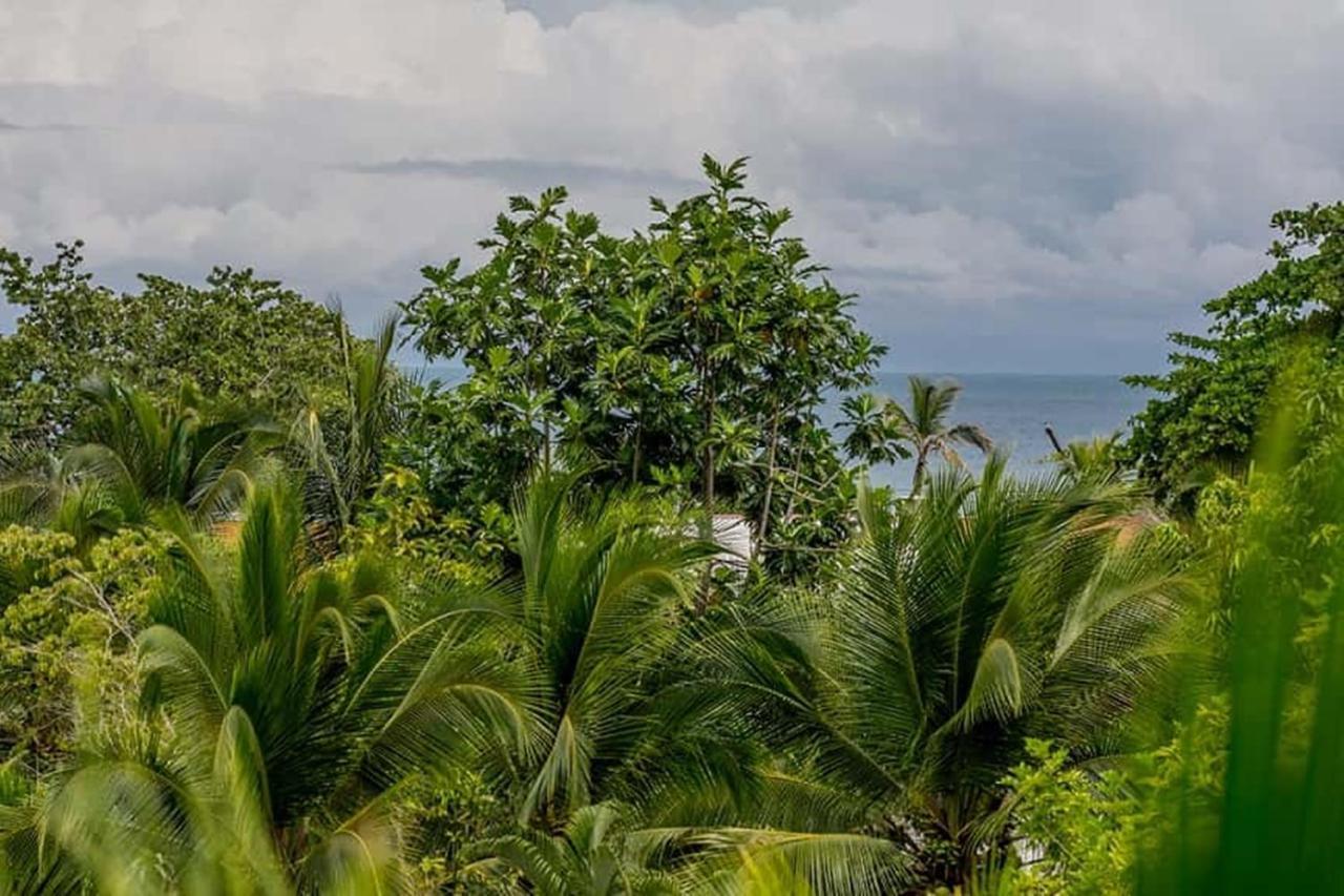 Hotel Torres Del Mar Puerto Viejo de Talamanca Zewnętrze zdjęcie